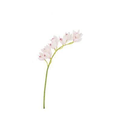 Orchidea Dyan X9F Bianco Cm.H82 -648