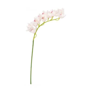 Orchidea Dyan X12F Bianco Cm.H104 -655
