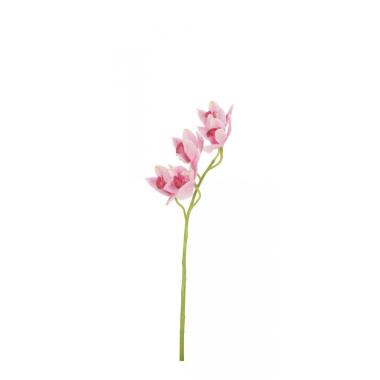 Orchidea Dyan X5F Rosa Cm.H66