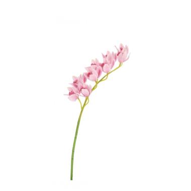 Orchidea Dyan X9F Rosa Cm.H82 -679