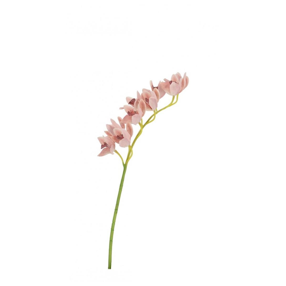 Orchidea Dyan x9F Salmone cm.H82 | Bizzotto