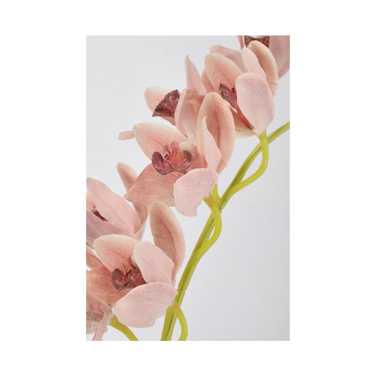 Orchidea Dyan x9F Salmone cm.H82 | Bizzotto
