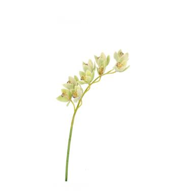 Orchidea Dyan X9F Verde Cm.H82