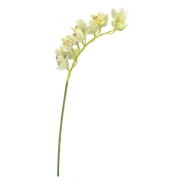 Orchidea Dyan X12F Verde Cm.H104 -747