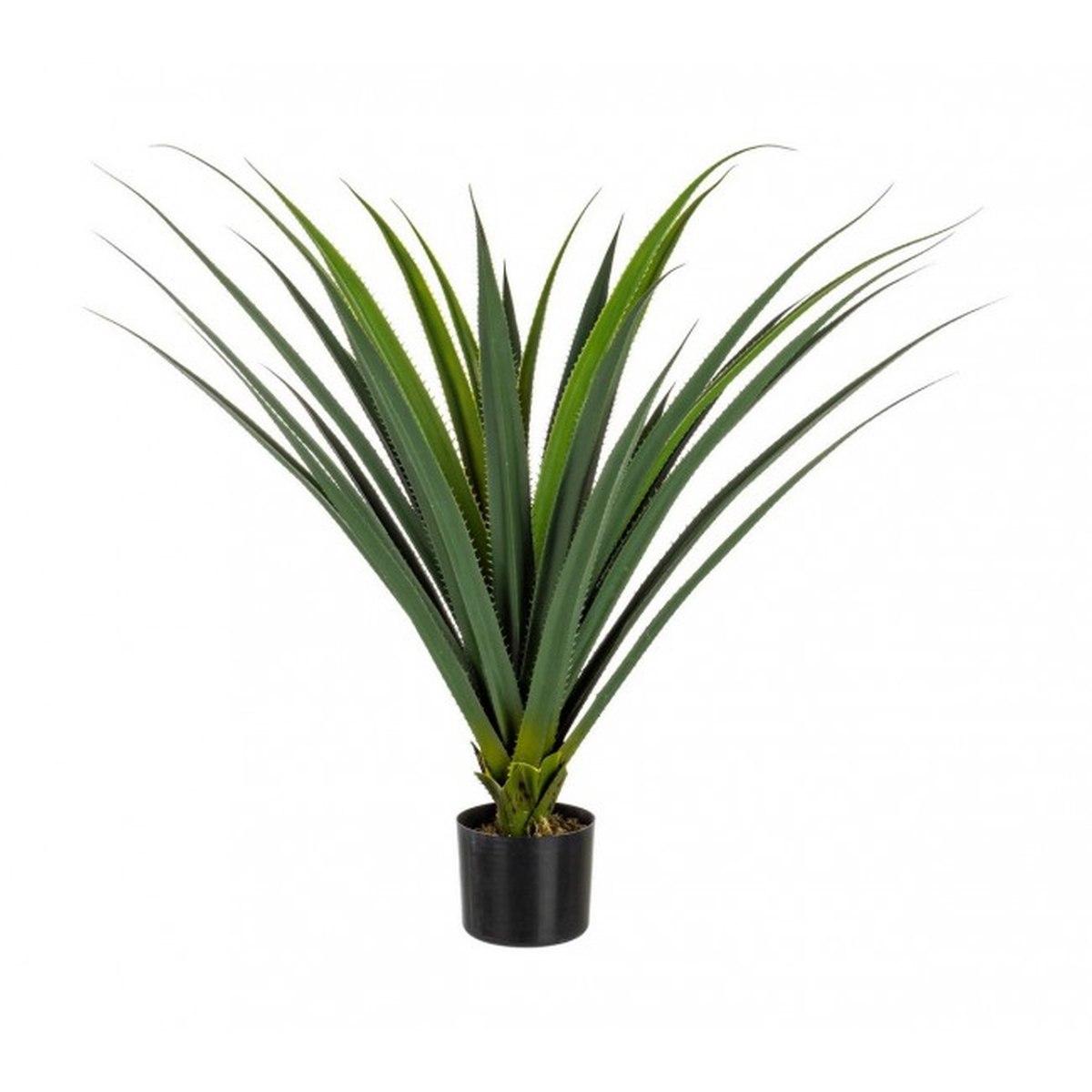 Pianta Ruscaceae con Vaso 28 Foglie  cm.H90 | Bizzotto