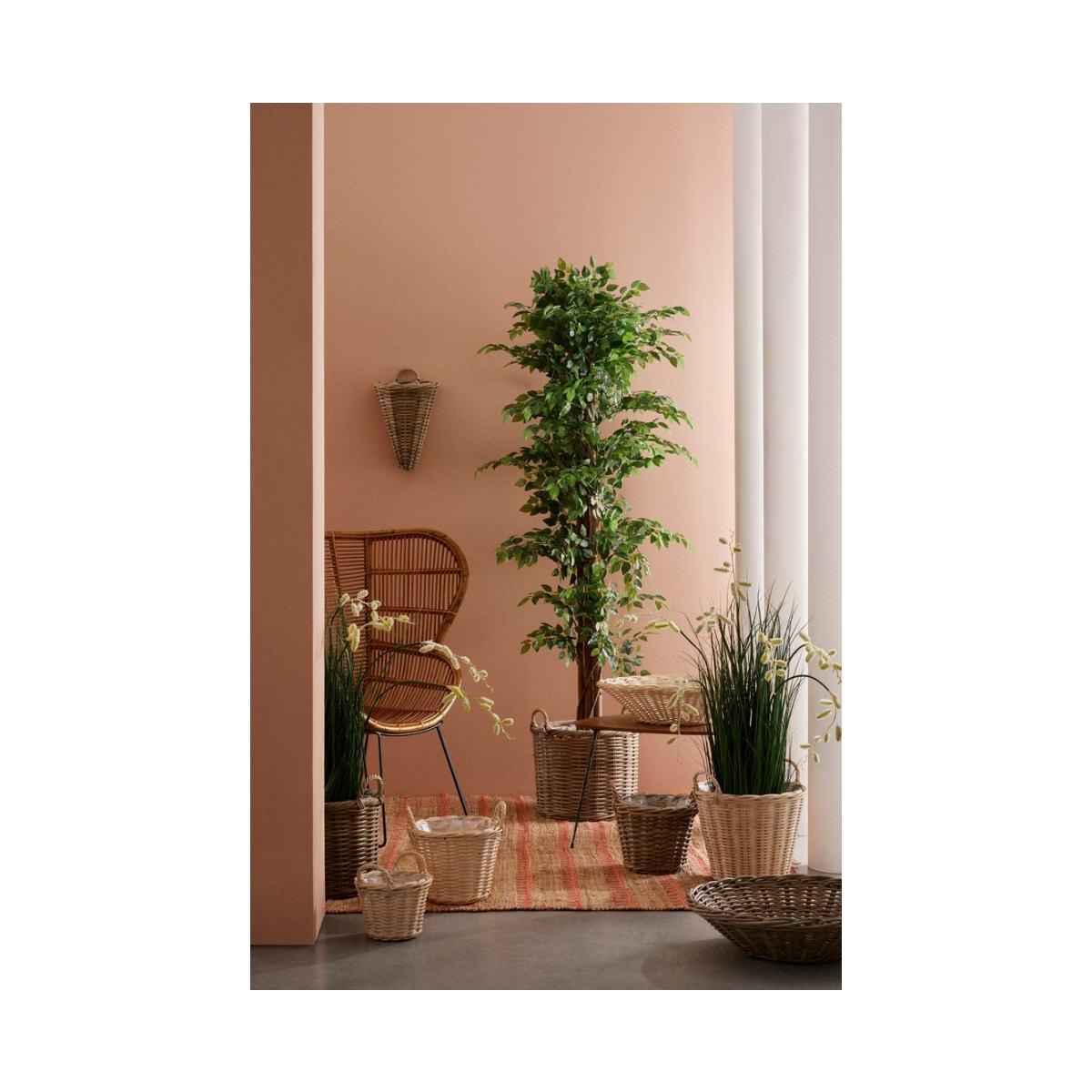 Pianta Ficus con Vaso 2480 Foglie cm.H210 | Bizzotto