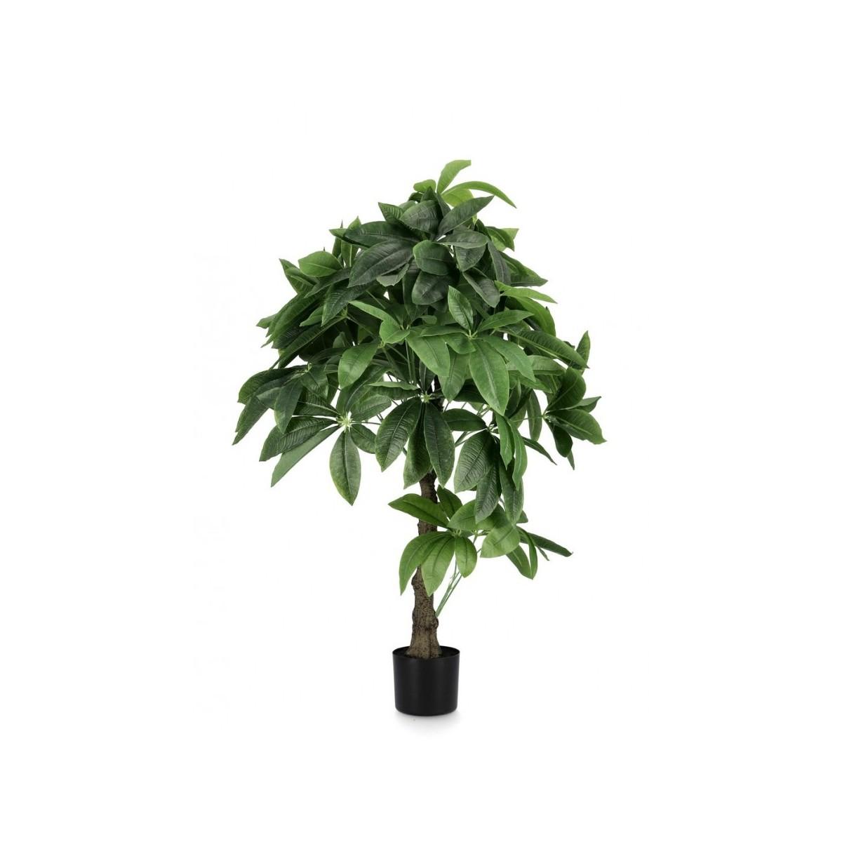 Pianta Pachira Aquatica con Vaso 280 Foglie   cm.H120 | Bizzotto