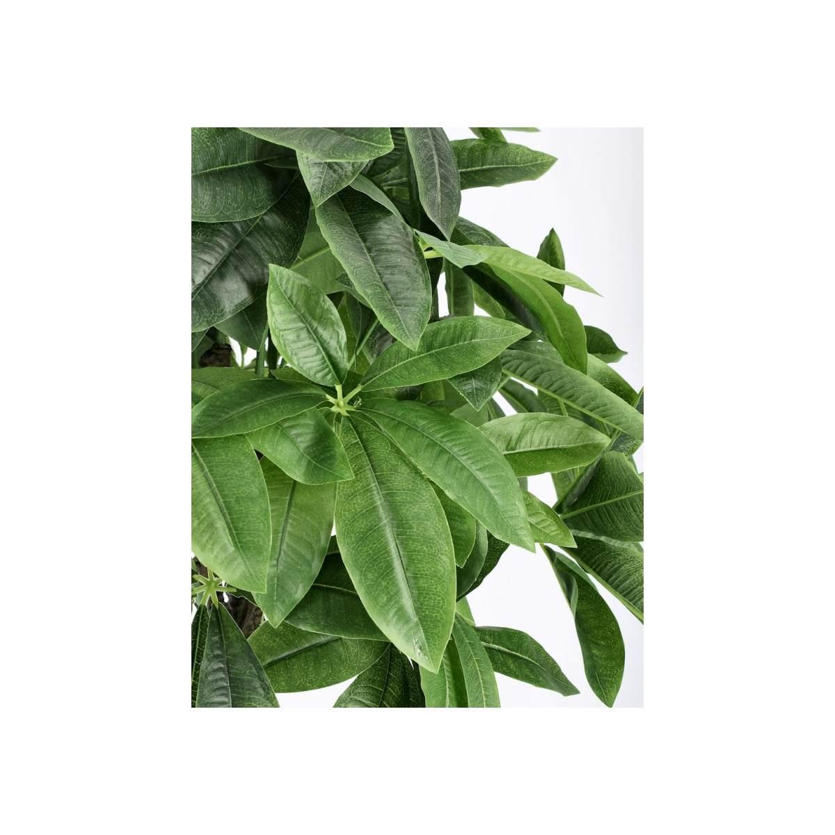 Pianta Pachira Aquatica con Vaso 280 Foglie   cm.H120 | Bizzotto