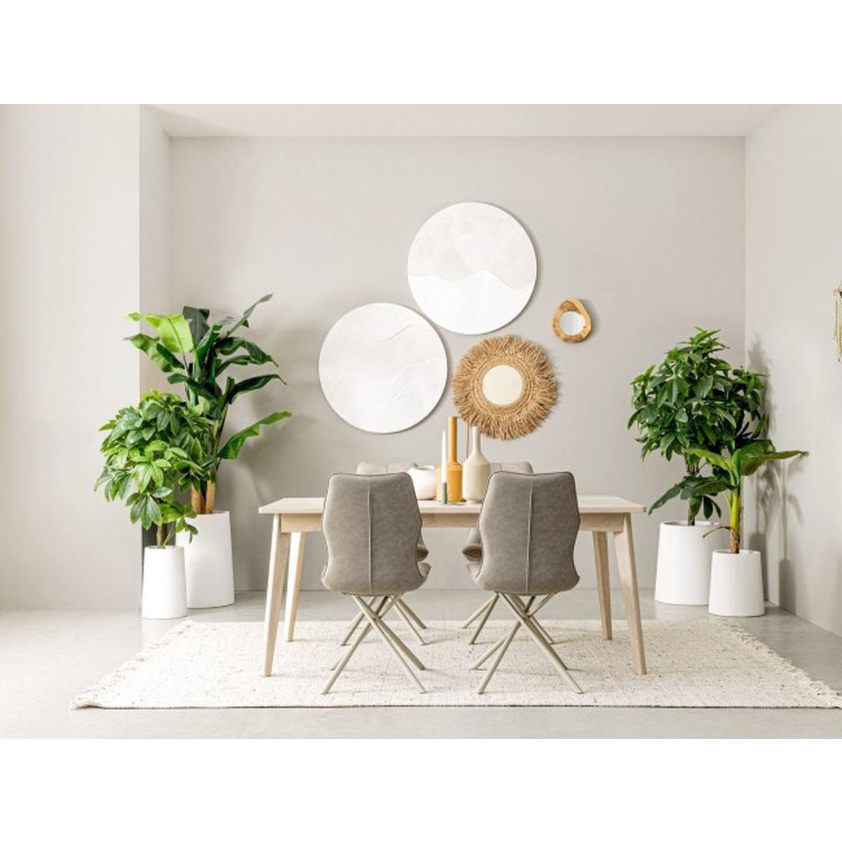 Pianta Pachira Aquatica con Vaso 280 Foglie   cm.H120 | Bizzotto