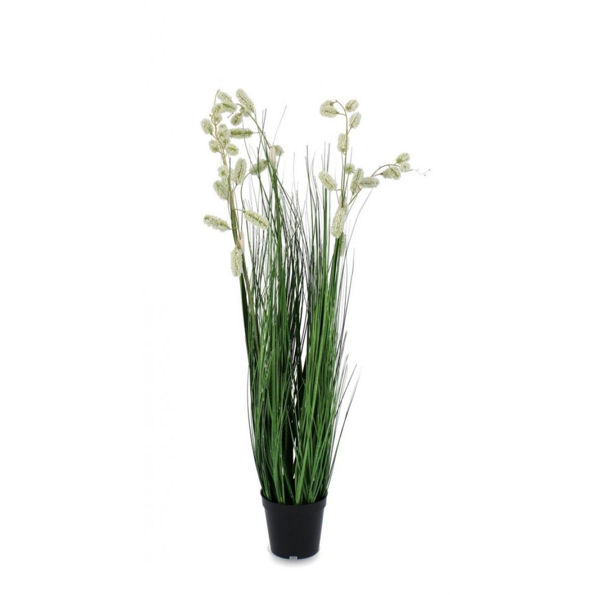 Pianta Grevillea Bianco con Vaso x5 Foglie   cm.H100 | Bizzotto