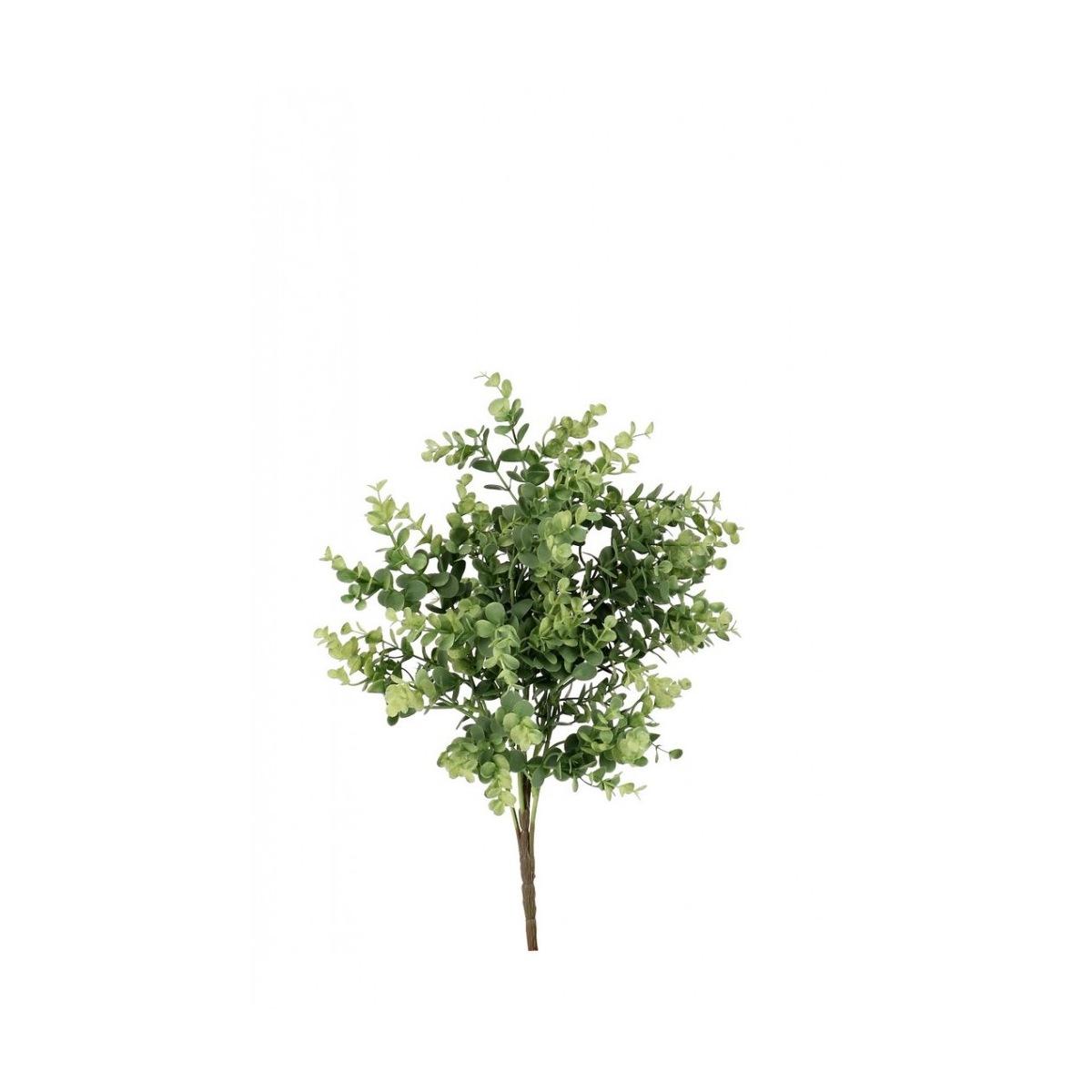 Pick Dischidia Gherard Verde cm.H37 | Bizzotto