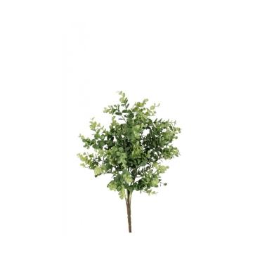 Pick Dischidia Gherard Verde cm.H37 | Bizzotto