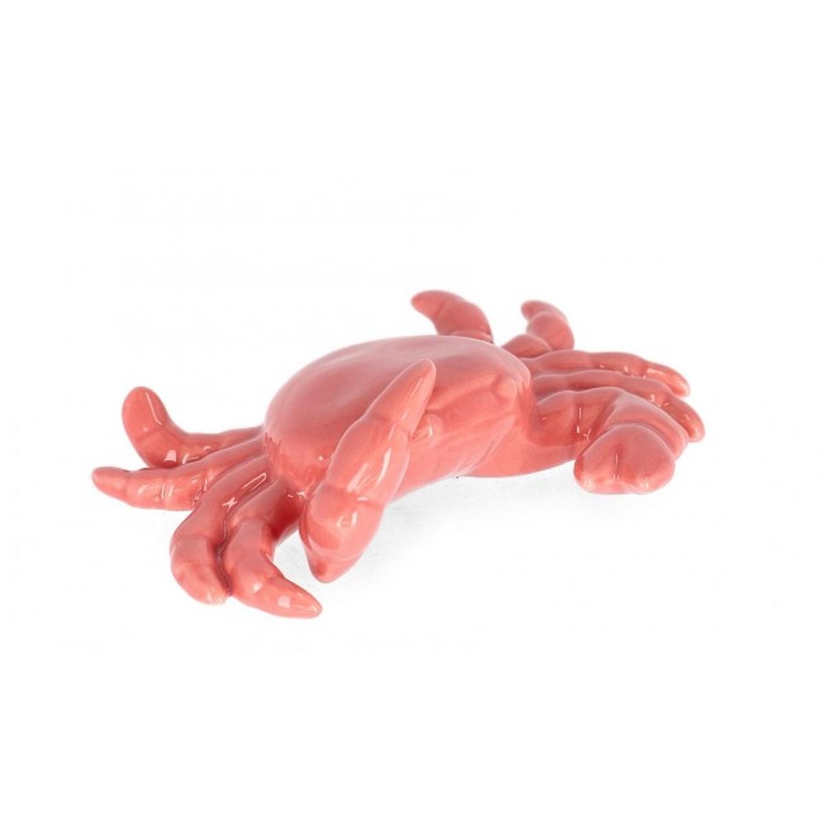 Granchio Favignana Porc Corallo S | Bizzotto