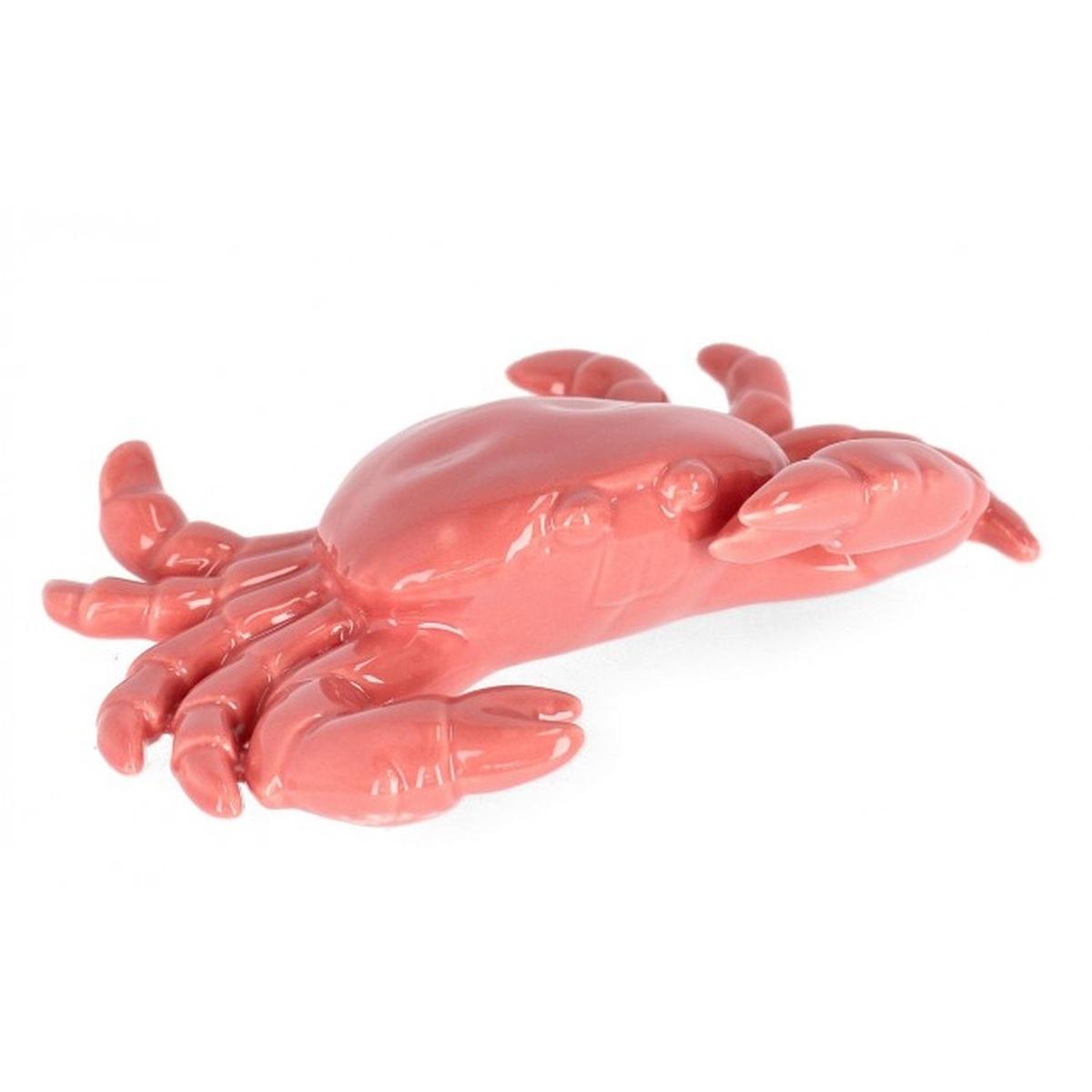 Granchio Favignana Porc Corallo L | Bizzotto