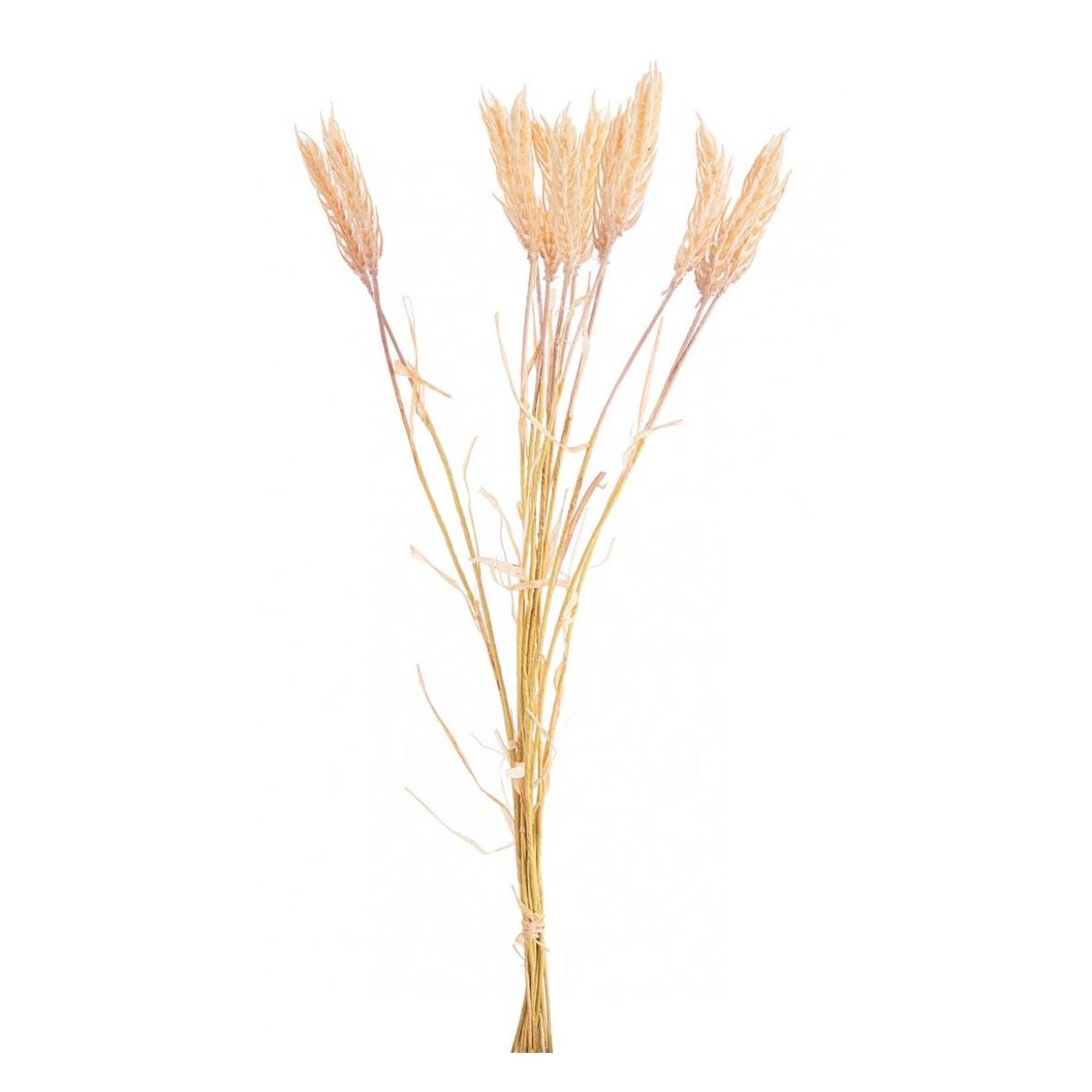 Ramo Jenn Spiga Beige cm.H60 | Bizzotto