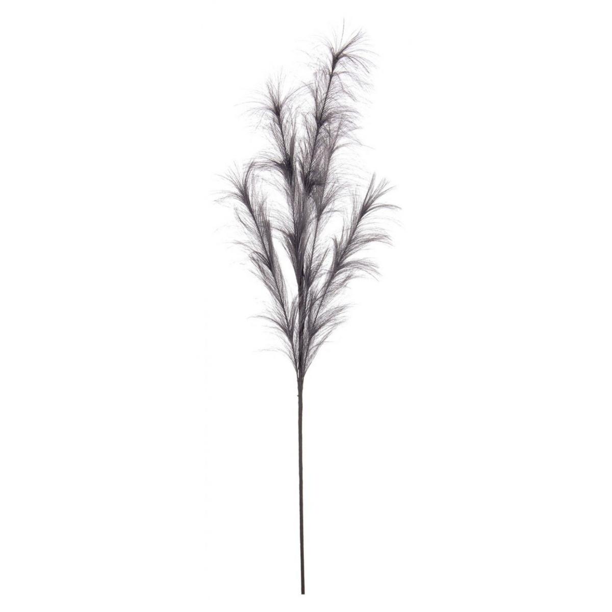 Ramo Nelly Pampas Grigio Scuro cm.H100 | Bizzotto