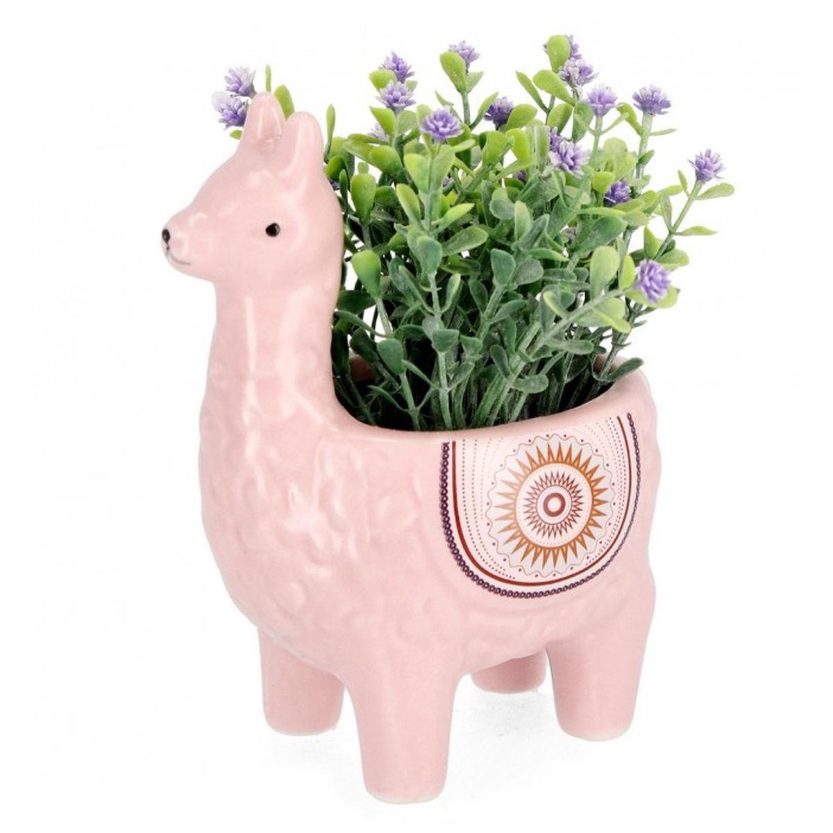 Piantina con Vaso Alpaca Rosa cm.H16 | Bizzotto