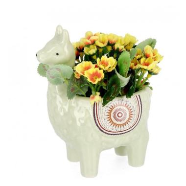 Piantina con Vaso Alpaca Verde cm.H16 | Bizzotto