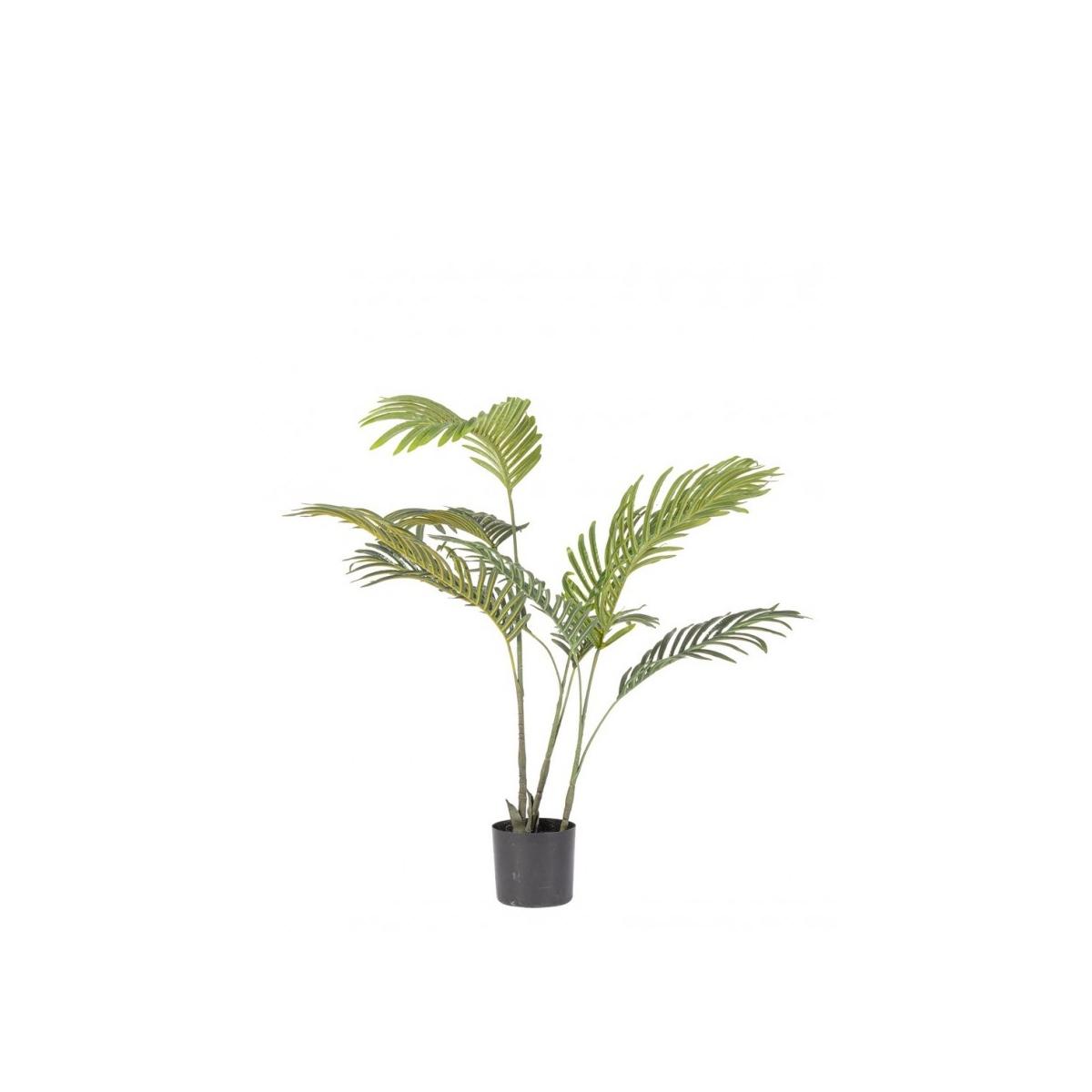 Pianta Kenzia con Vaso 9 Foglie  cm.H80 | Bizzotto