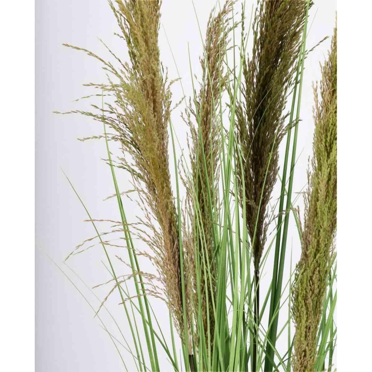 Pianta Carine Pampas Verd Mar con Vaso cm.H96,5 | Bizzotto