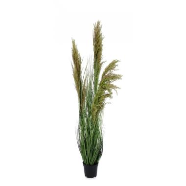 Pianta Carine Pampas Verd Mar con Vaso cm.H96,5 | Bizzotto
