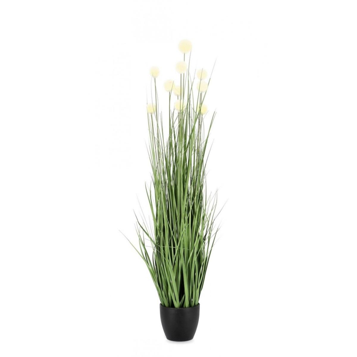 Pianta Eriophorum Bianc con Vaso x10 Foglie cm.H110 | Bizzotto