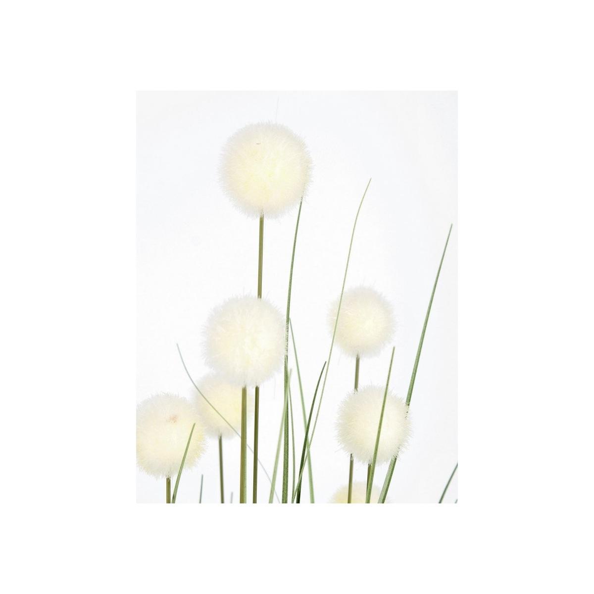 Pianta Eriophorum Bianc con Vaso x10 Foglie cm.H110 | Bizzotto