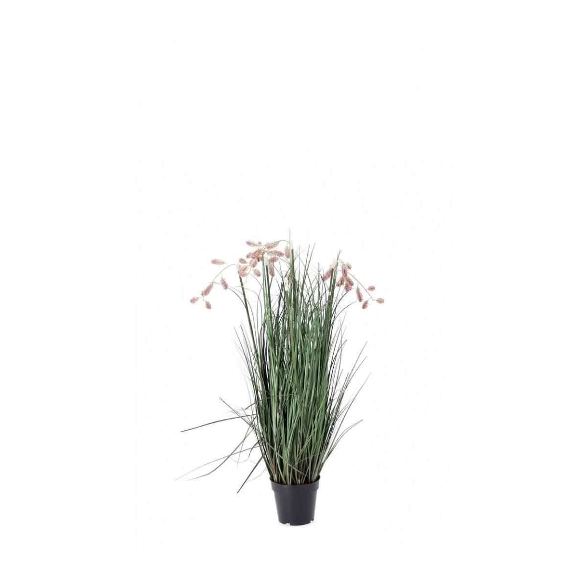 Pianta Grevillea Rosa con Vaso x5 Foglie   cm.H100 | Bizzotto