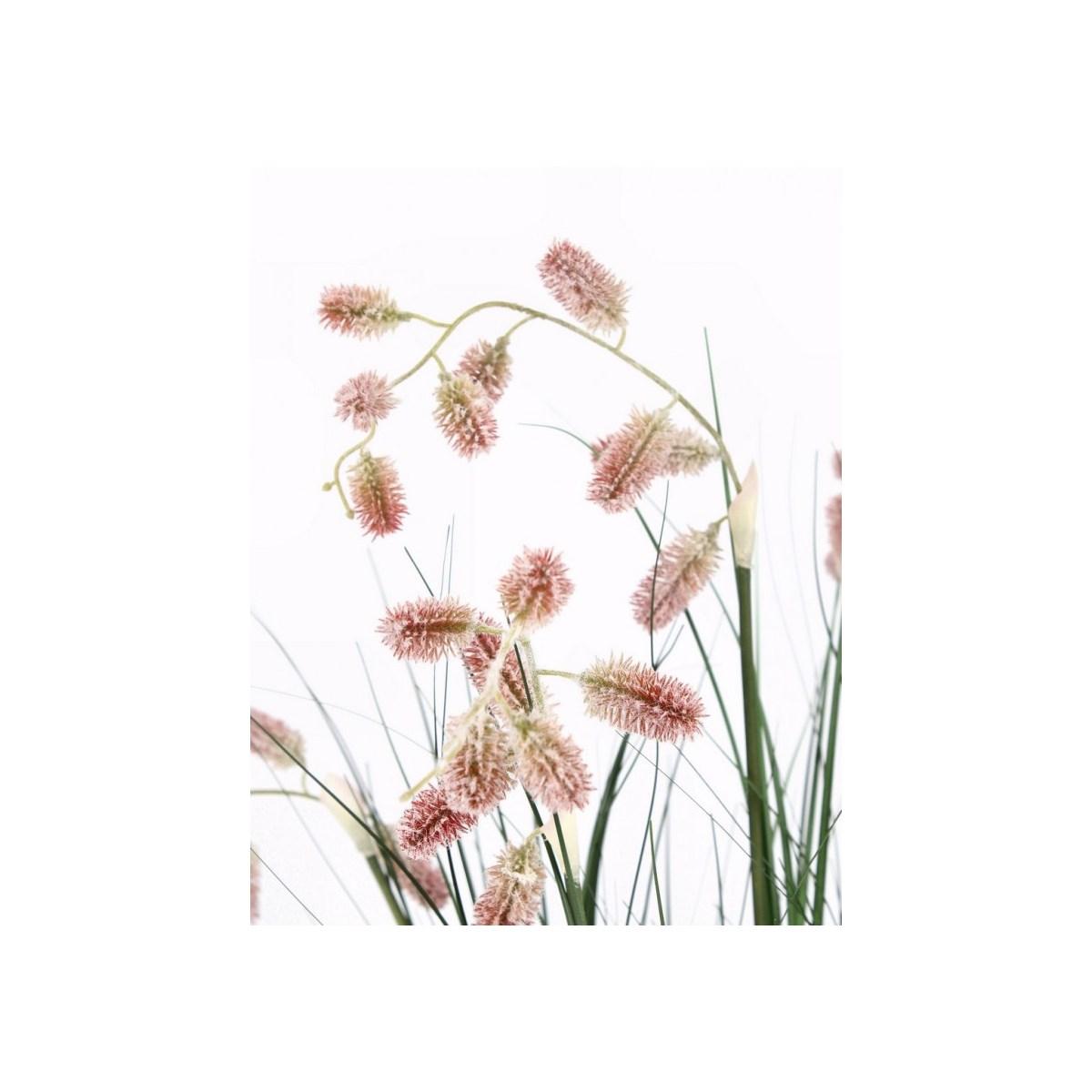 Pianta Grevillea Rosa con Vaso x5 Foglie   cm.H100 | Bizzotto