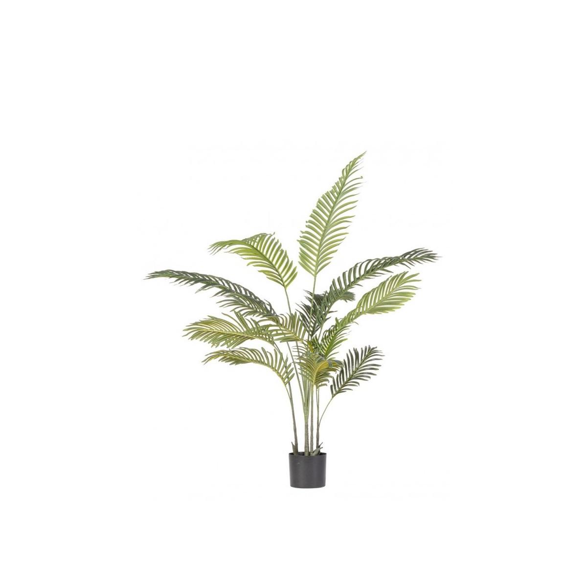 Pianta Kenzia con Vaso cm.14 Foglie  cm.H120 | Bizzotto