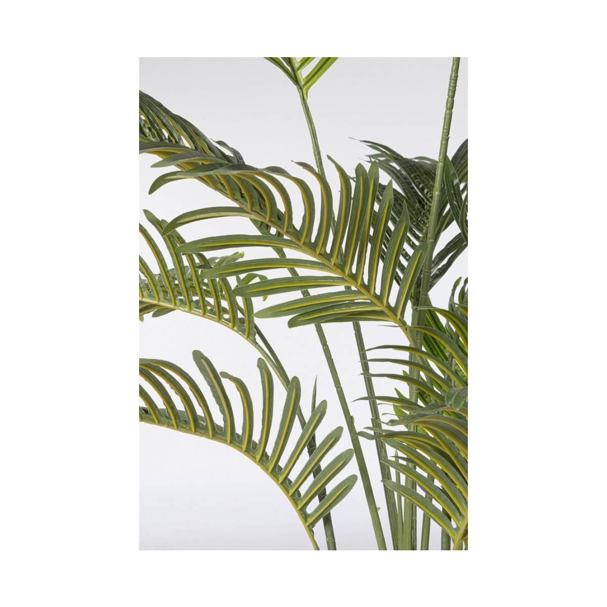 Pianta Kenzia con Vaso cm.14 Foglie  cm.H120 | Bizzotto