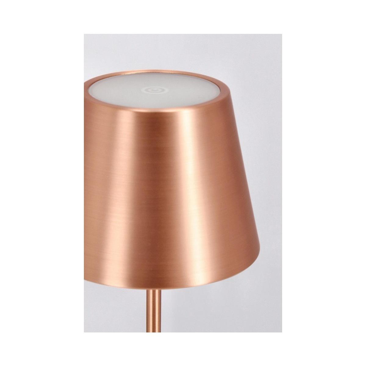 Lampada Tavolo LED Etna Bronzo cm.H38 | Bizzotto