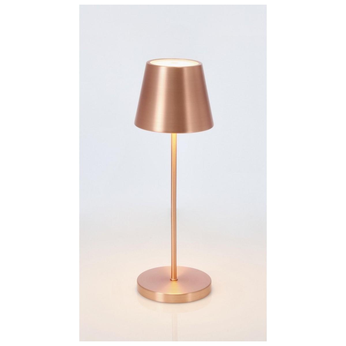 Lampada Tavolo LED Etna Bronzo cm.H38 | Bizzotto
