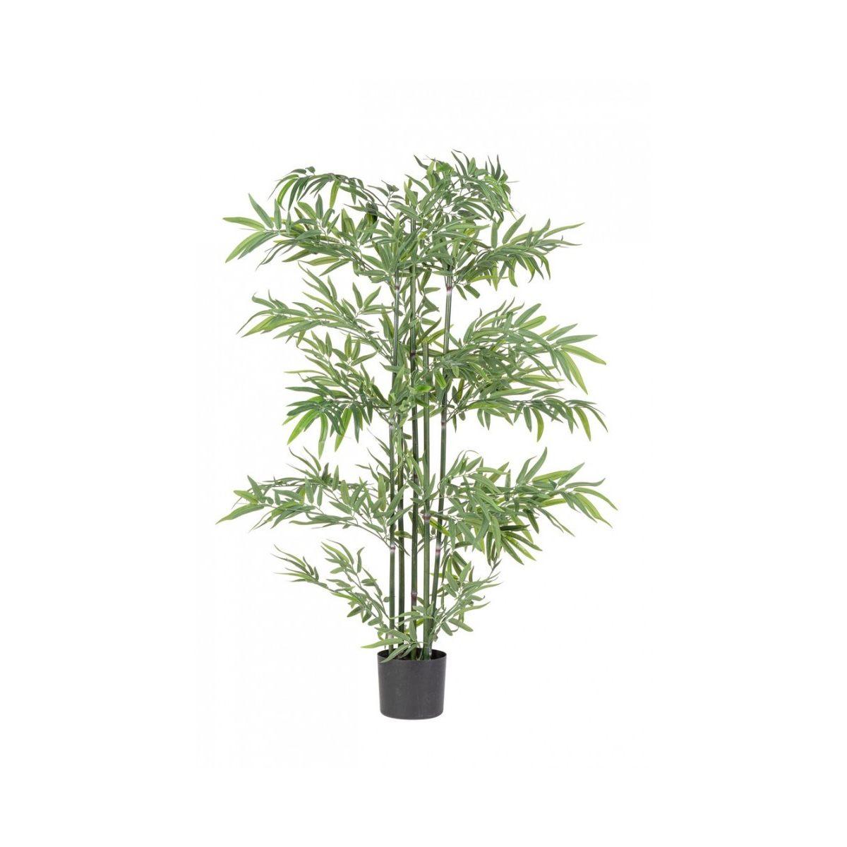 Pianta Bamboo con Vaso cm.H150 | Bizzotto