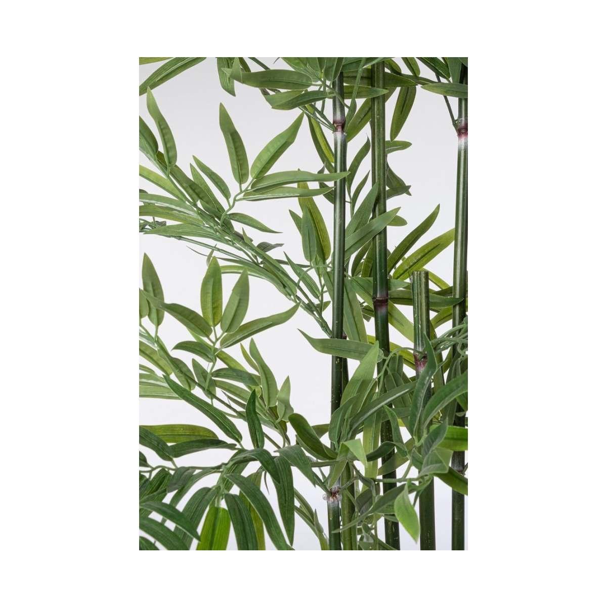 Pianta Bamboo con Vaso cm.H150 | Bizzotto