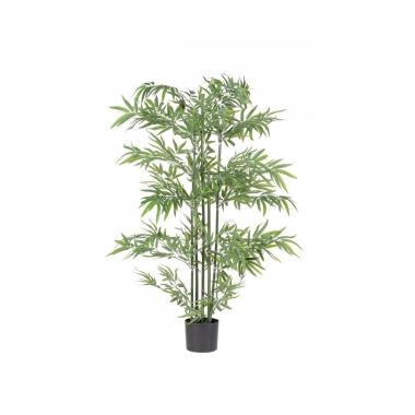 Pianta Bamboo con Vaso cm.H150 | Bizzotto