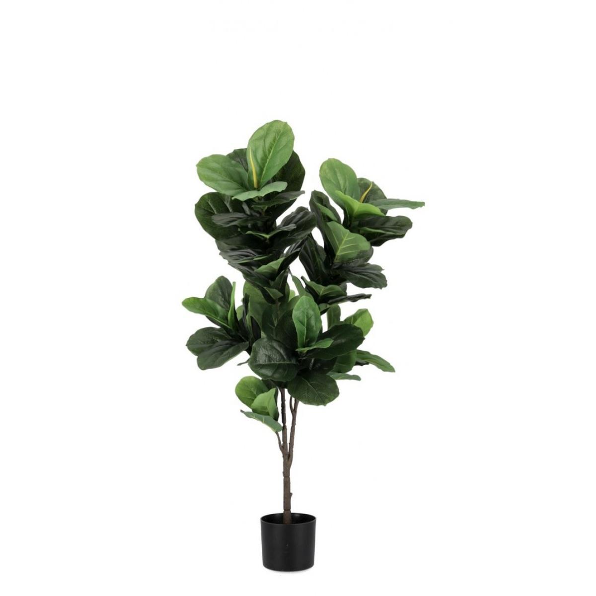 Pianta Ficus Lyrata con Vaso 72 Foglie cm.H120 | Bizzotto