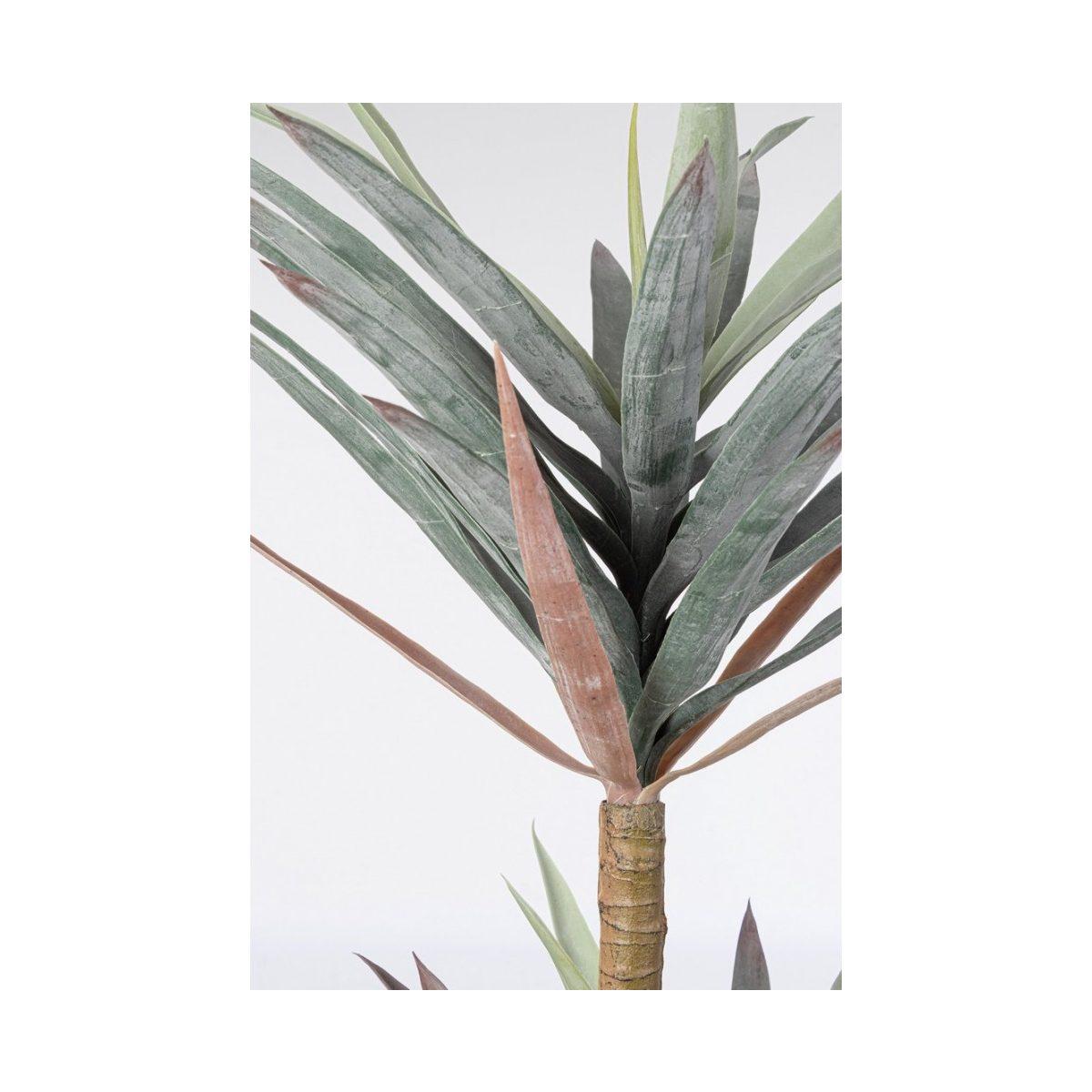 Pianta Yucca con Vaso 68 Foglie  cm.H128 | Bizzotto