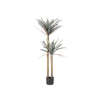 Pianta Yucca con Vaso 68 Foglie  cm.H128 | Bizzotto