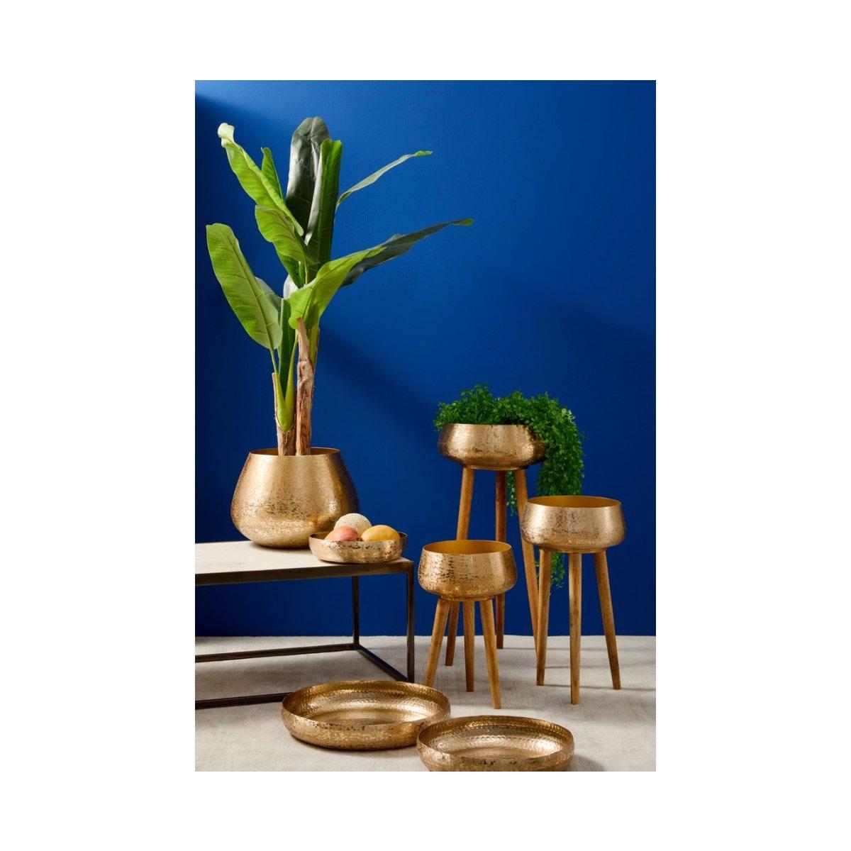 Pianta Banano con Vaso cm.14 Foglie cm.H135 | Bizzotto