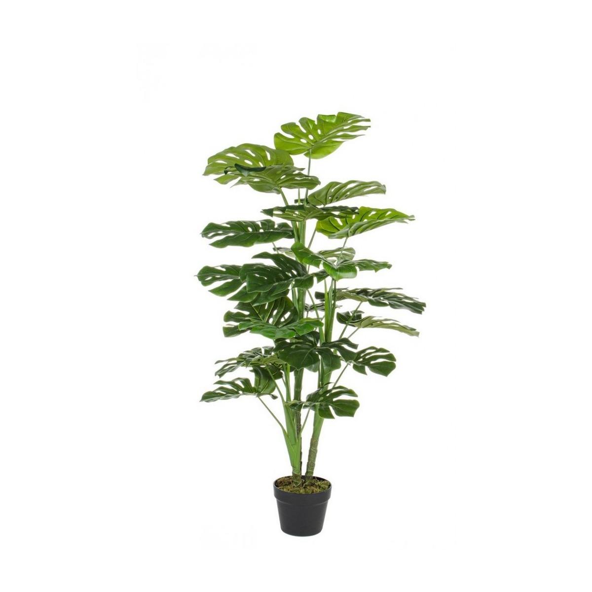 Pianta Filodendro con Vaso 23 Foglie   cm.H120 | Bizzotto