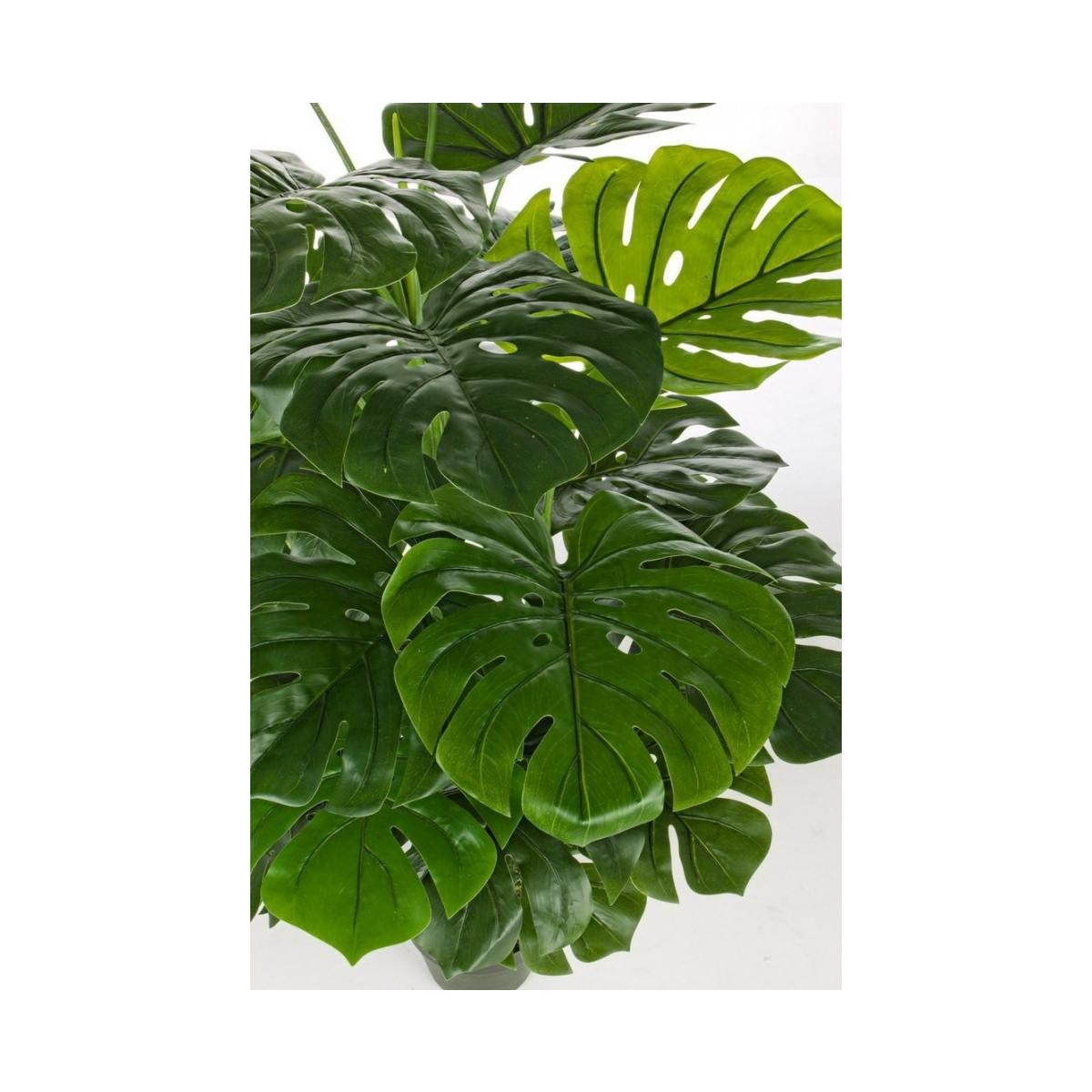 Pianta Filodendro con Vaso 23 Foglie   cm.H120 | Bizzotto