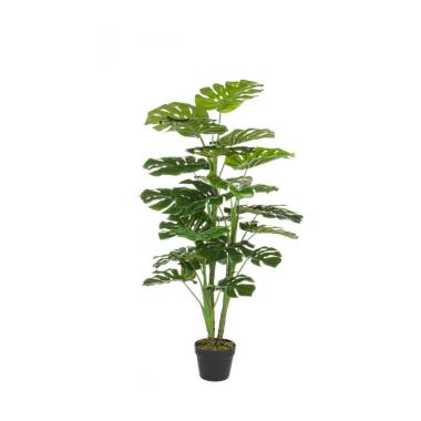 Pianta Filodendro con Vaso 23 Foglie   cm.H120 | Bizzotto