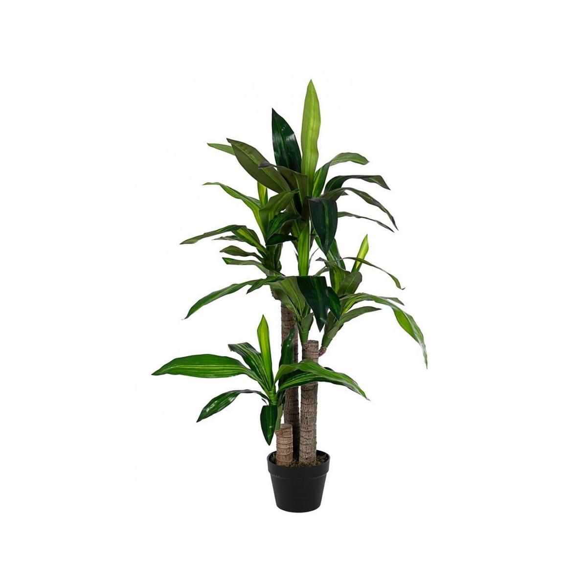 Pianta Dracaena con Vaso 65 Foglie cm.H110 | Bizzotto