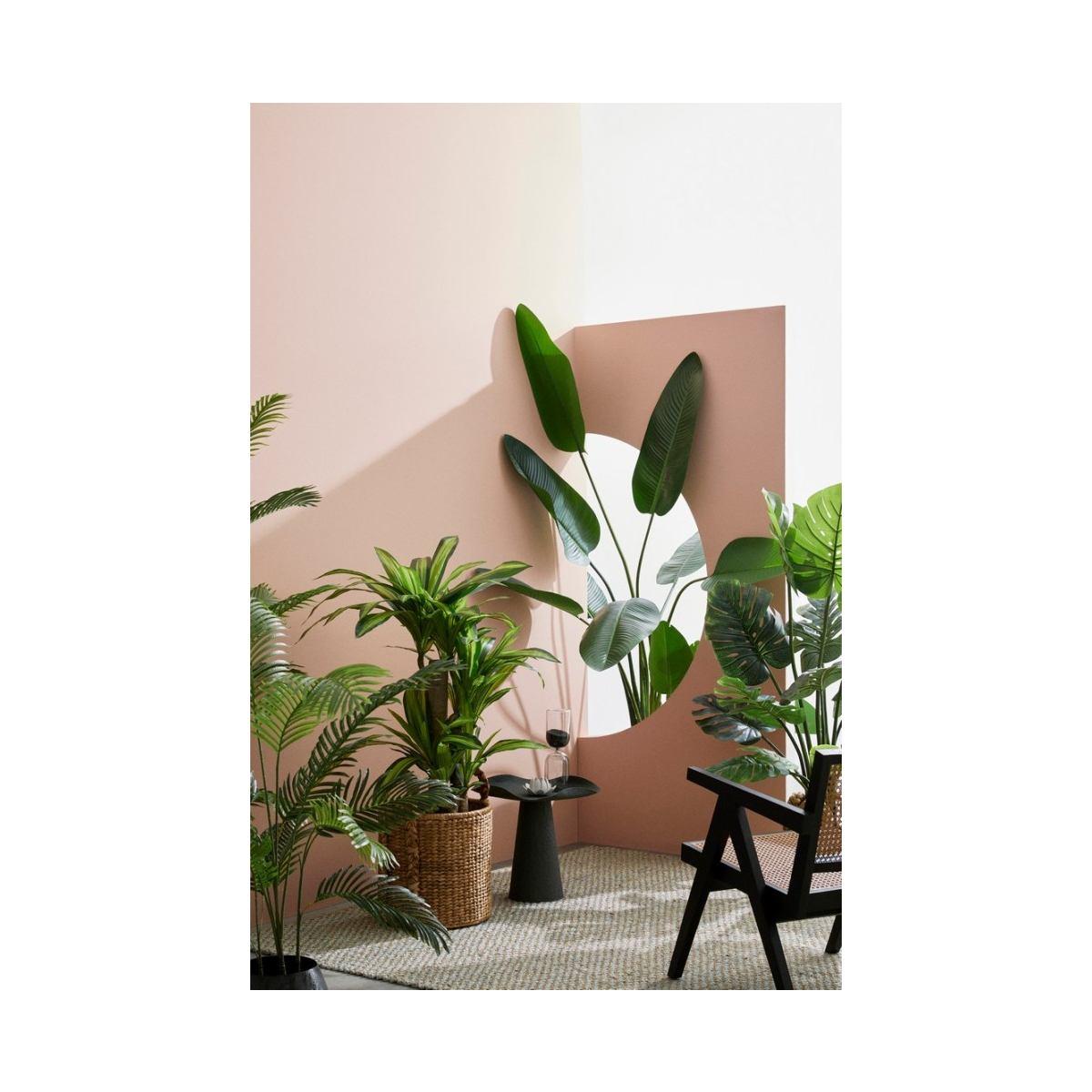 Pianta Dracaena con Vaso 65 Foglie cm.H110 | Bizzotto