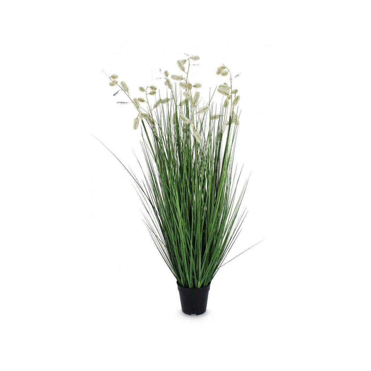 Pianta Grevillea Bianco con Vaso x7 Foglie   cm.H120 | Bizzotto
