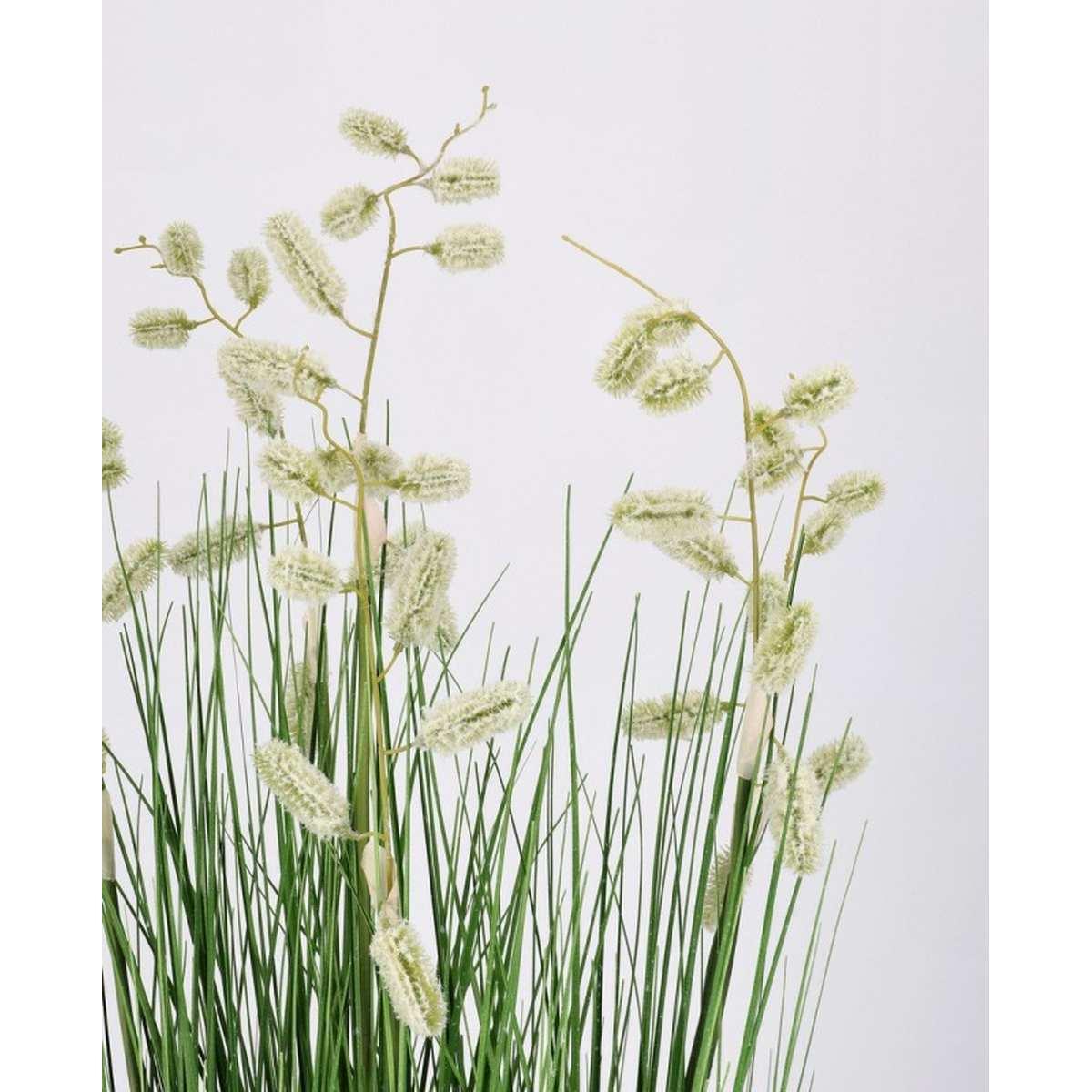 Pianta Grevillea Bianco con Vaso x7 Foglie   cm.H120 | Bizzotto