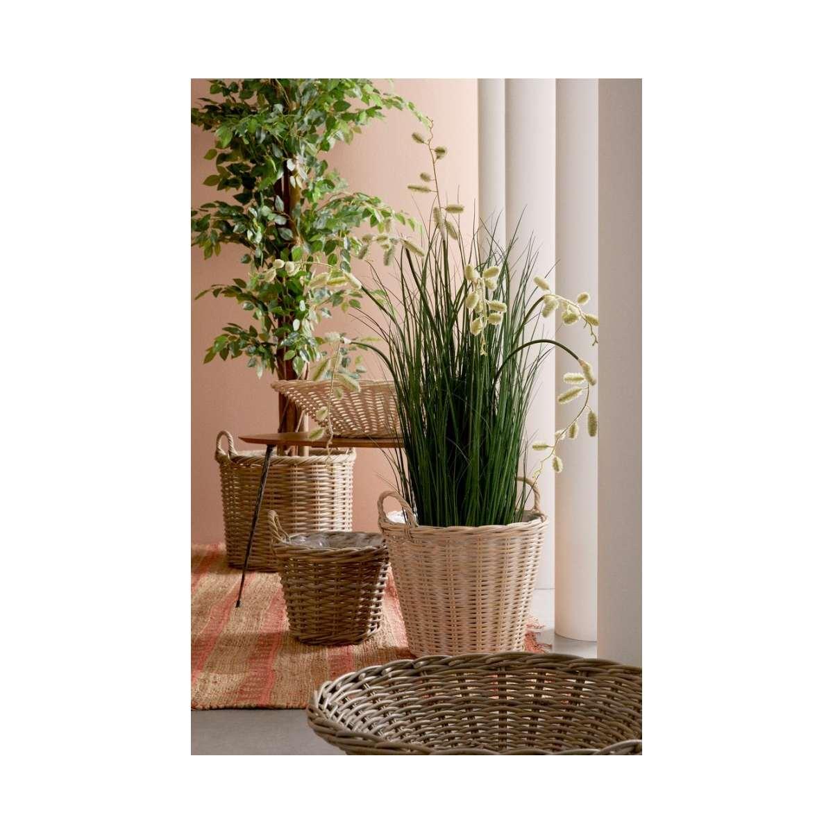 Pianta Grevillea Bianco con Vaso x7 Foglie   cm.H120 | Bizzotto