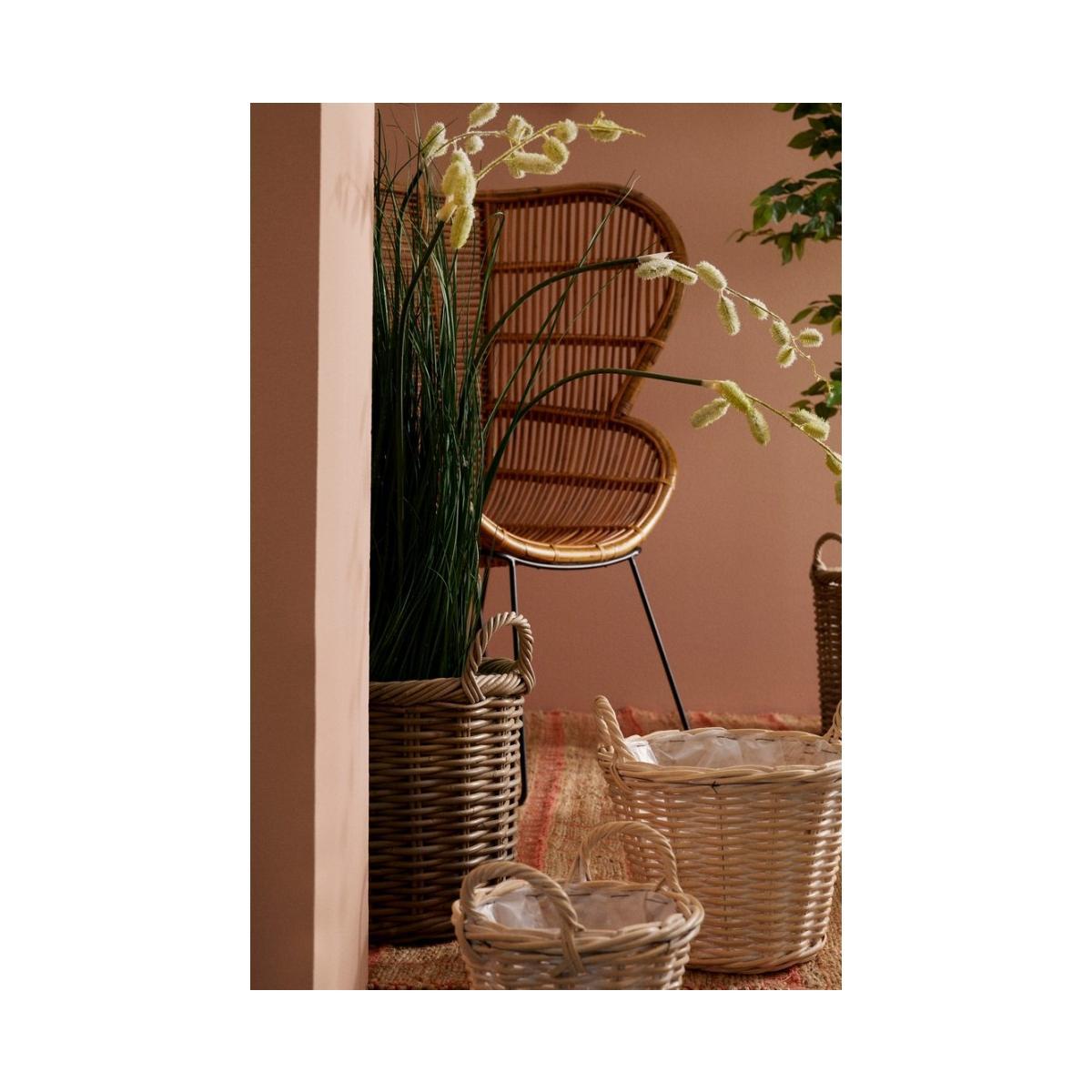 Pianta Grevillea Bianco con Vaso x7 Foglie   cm.H120 | Bizzotto