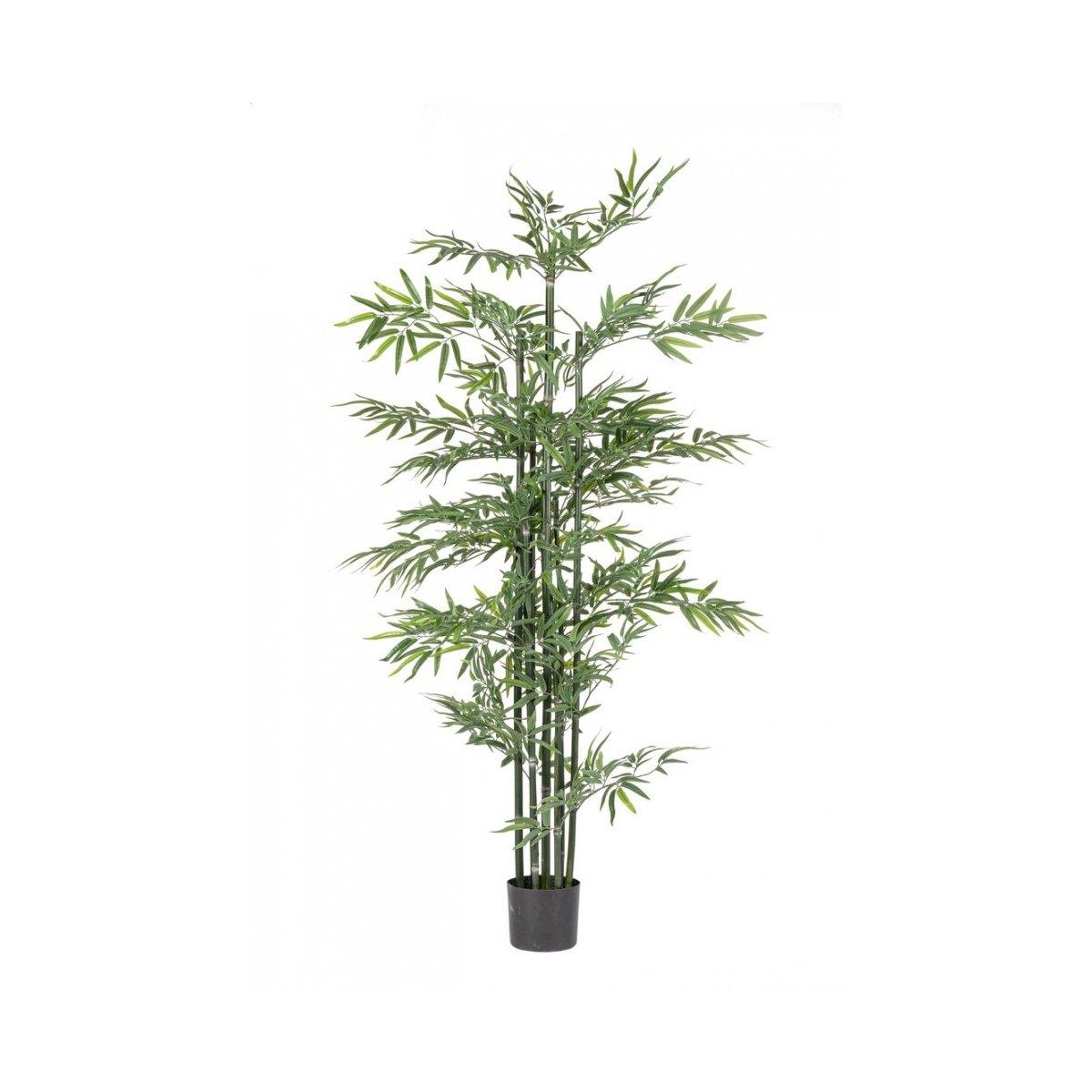 Pianta Bamboo con Vaso cm.H190 | Bizzotto